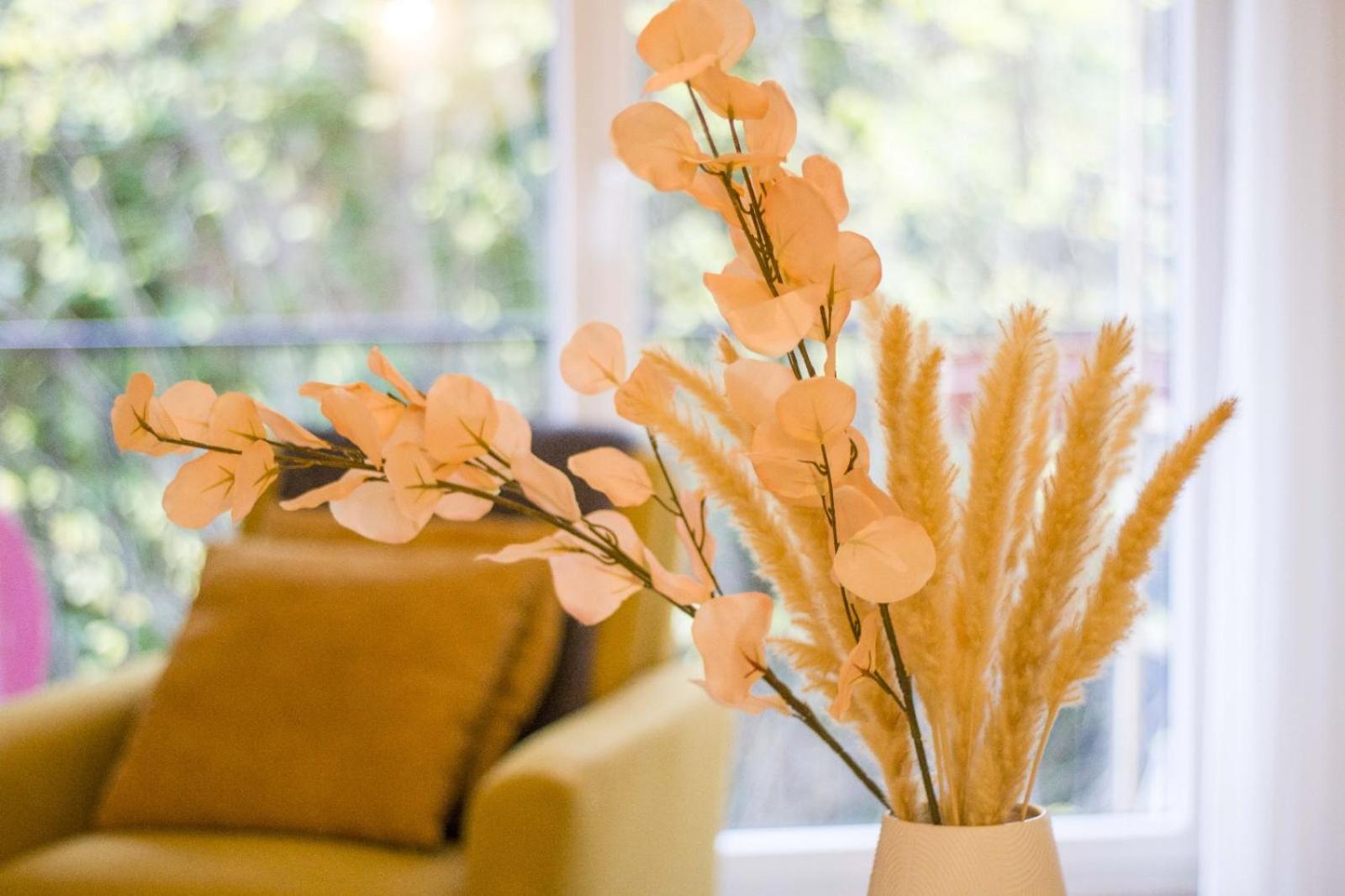Appartement Cosy Thonon-les-Bains Dış mekan fotoğraf